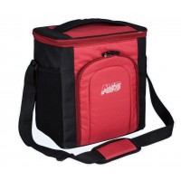 Сумка-холодильник (термосумка) AVS TC-20 (20л)
